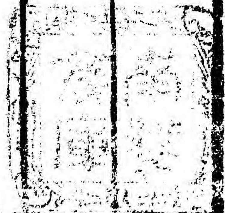 紀伊徳川/南葵文庫