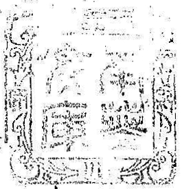 紀伊徳川/南葵文庫